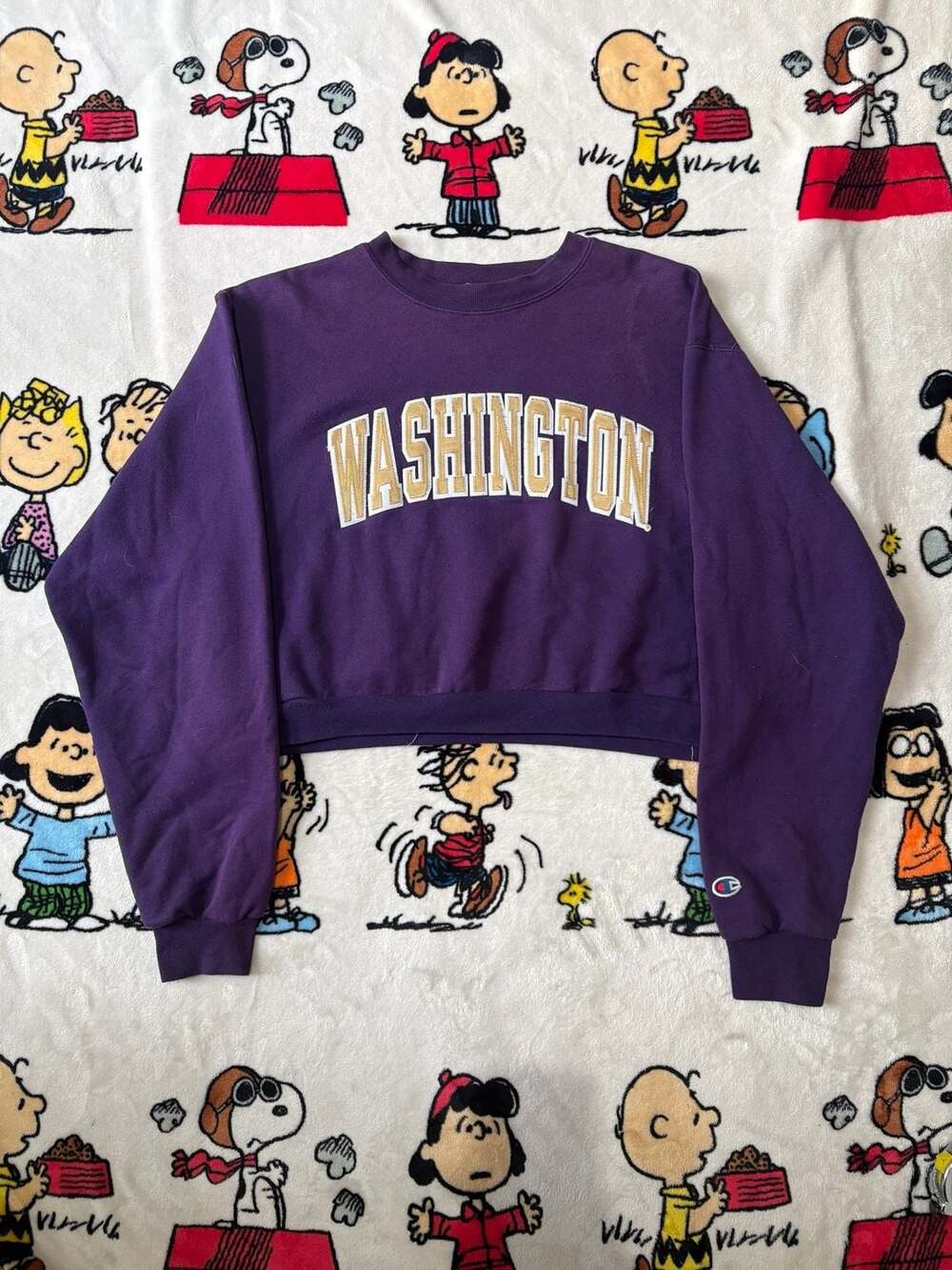 2000s Champion Eco Fleece Future Friendly Washington Crop Sweatshirt Purple Medi